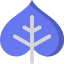 WeCare247 Logo